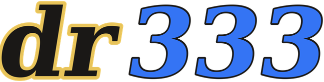 dr333 logo